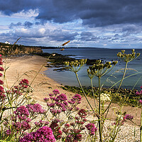 Buy canvas prints of Seaham Beach in Summertime by Tim Hill