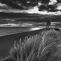 Buy canvas prints of Herd Groyne Black and White by Tim Hill