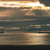 Buy canvas prints of Tynemouth by Tim Hill