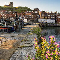 Buy canvas prints of Whitby Tate Hill Pier by Tim Hill
