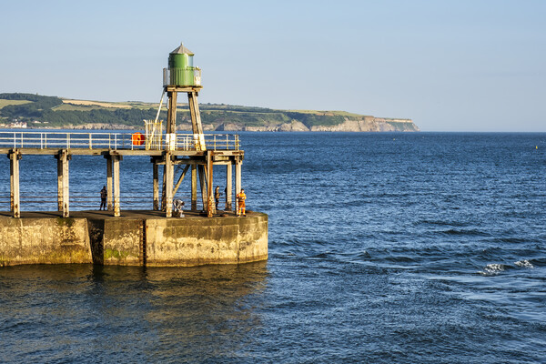 Whitby Pier Fishing, Yorkshire Coast Picture Board by Tim Hill