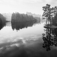 Buy canvas prints of Misty Tarn Hows by Tim Hill