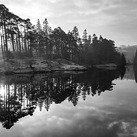Buy canvas prints of Tarn Hows Sunrise Black and White by Tim Hill