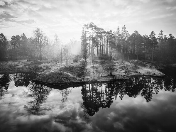 Tarn Hows Sunrise Black and White Picture Board by Tim Hill