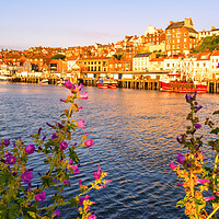 Buy canvas prints of Whitby Yorkshire Coast Memories by Tim Hill