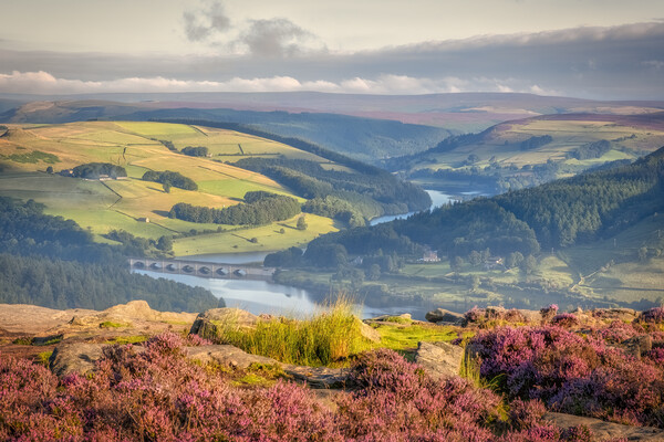 Ladybower from Bamford Edge, Peak District Picture Board by Tim Hill