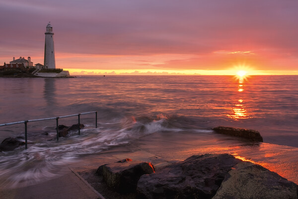 St Marys Lighthouse, Whitley Bay Sunrise Picture Board by Tim Hill