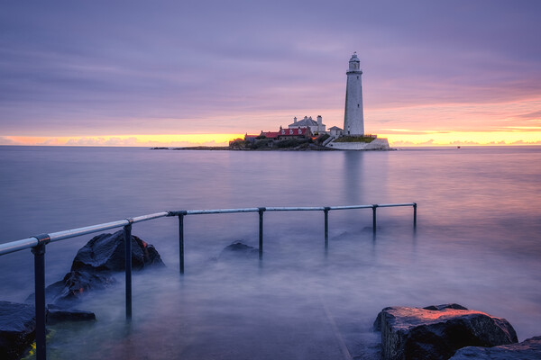 St Mary's Lighthouse Whitley Bay Picture Board by Tim Hill