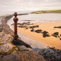 Buy canvas prints of Cullercoats by Tim Hill