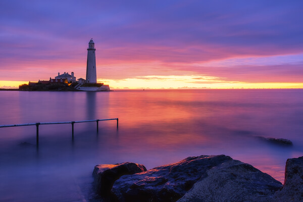 St Mary's Lighthouse Sunrise Picture Board by Tim Hill