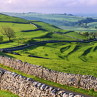 Buy canvas prints of Road to Malham Village, Yorkshire Dales Landscape by Tim Hill