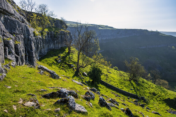 Malham Cove Yorkshire Dales Picture Board by Tim Hill