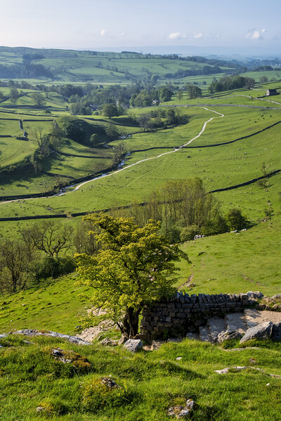 Malham Cove Yorkshire Dales Picture Board by Tim Hill