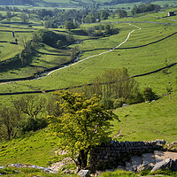 Buy canvas prints of Malham Cove Yorkshire Dales by Tim Hill