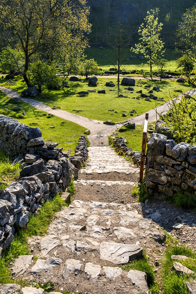 Malham Cove Steps Yorkshire Dales Picture Board by Tim Hill
