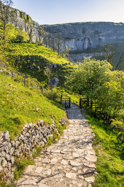 Malham Cove: Springtime in the Yorkshire Dales Picture Board by Tim Hill