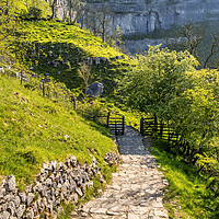 Buy canvas prints of Malham Cove: Springtime in the Yorkshire Dales by Tim Hill