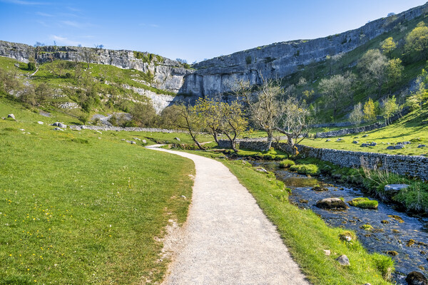 Malham Cove and Malham beck: Yorkshire Dales Picture Board by Tim Hill
