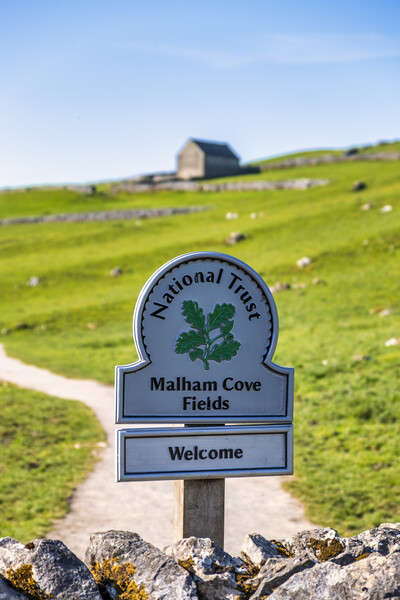 Malham Cove Fields Picture Board by Tim Hill