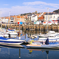 Buy canvas prints of Scarborough Boat Marina Panoramic by Tim Hill
