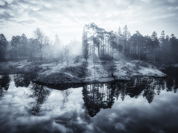 Tarn Hows Sunrise Monochrome Picture Board by Tim Hill