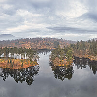 Buy canvas prints of Tarn Hows Panoramic by Tim Hill