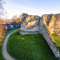 Buy canvas prints of Pontefract Castle ~ Spring Daffodils  by Tim Hill