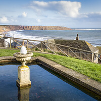 Buy canvas prints of Filey Crescent Gardens Yorkshire Coast by Tim Hill