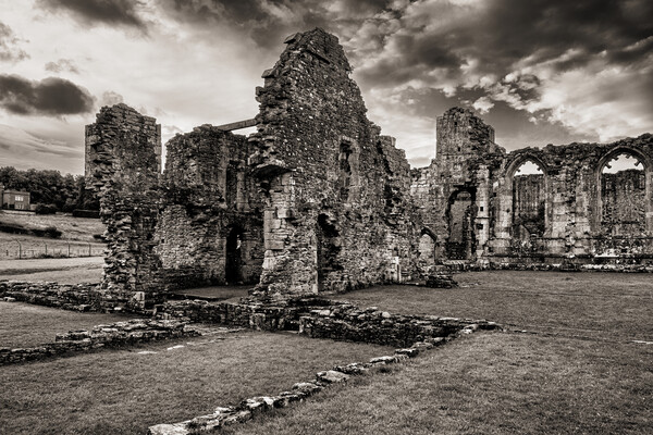 Easby Abbey Sepia Picture Board by Tim Hill