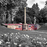 Buy canvas prints of Friary Gardens War Memorial Richmond by Tim Hill