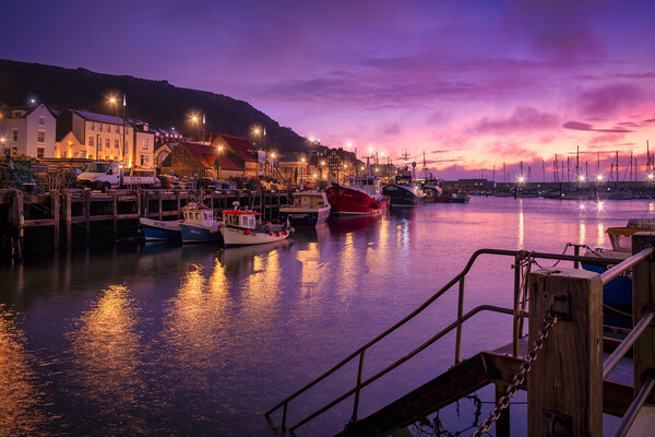 Dawn at Scarborough Harbour Picture Board by Tim Hill