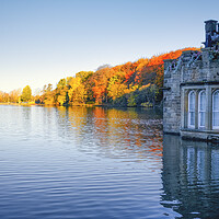 Buy canvas prints of Boathouse Newmillerdam: Remembrance Day by Tim Hill