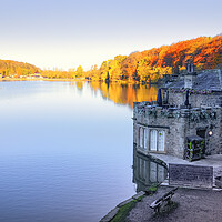 Buy canvas prints of Newmillerdam Boathouse: Autumn light by Tim Hill