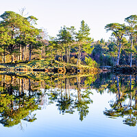 Buy canvas prints of Tarn Hows Reflections: English Lake District by Tim Hill