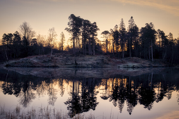 Tarn Hows Sunrise Silhouettes Picture Board by Tim Hill