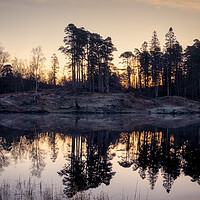 Buy canvas prints of Tarn Hows Sunrise Silhouettes by Tim Hill