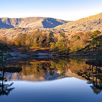 Buy canvas prints of Tarn Hows to Old Man of Coniston by Tim Hill