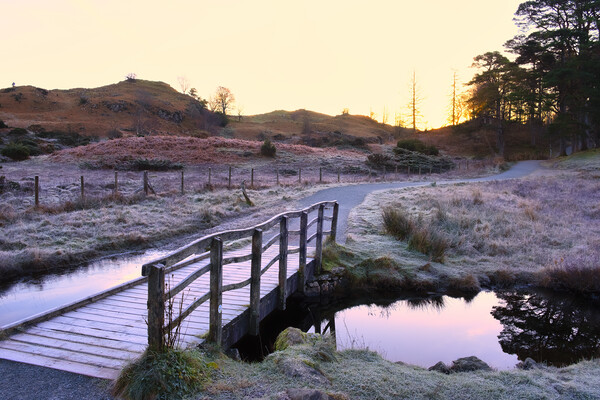 Into the Sunrise: Tarn Hows Lake District Picture Board by Tim Hill