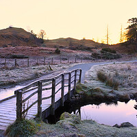 Buy canvas prints of Into the Sunrise: Tarn Hows Lake District by Tim Hill
