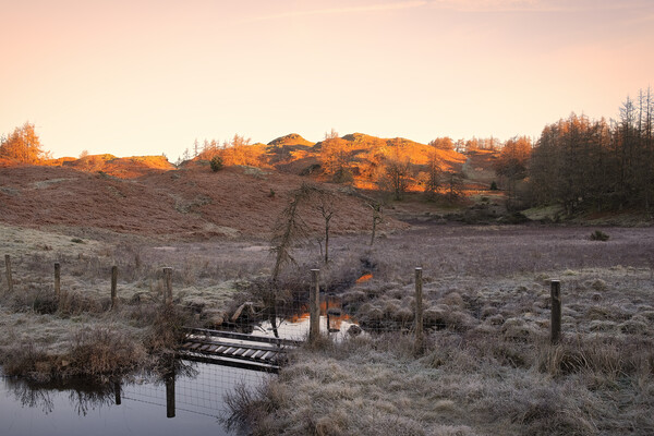 November Sunlight: Tarn Hows Lake District Picture Board by Tim Hill