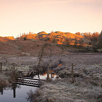 Buy canvas prints of November Sunlight: Tarn Hows Lake District by Tim Hill