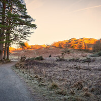 Buy canvas prints of November Sunlight: Tarn Hows Lake District by Tim Hill