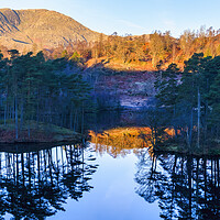 Buy canvas prints of Tarn Hows Reflections: November Sunlight by Tim Hill