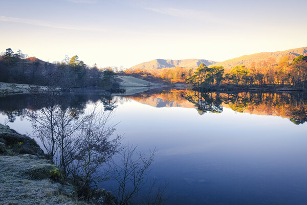 Tarn Hows Landscape: Lake District National Park Picture Board by Tim Hill