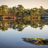 Buy canvas prints of Tarn Hows Reflections by Tim Hill