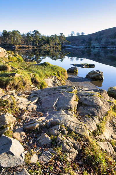Tarn Hows Landscape: Lake District Picture Board by Tim Hill