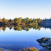 Buy canvas prints of Tarn Hows: November Sunshine Panoramic by Tim Hill