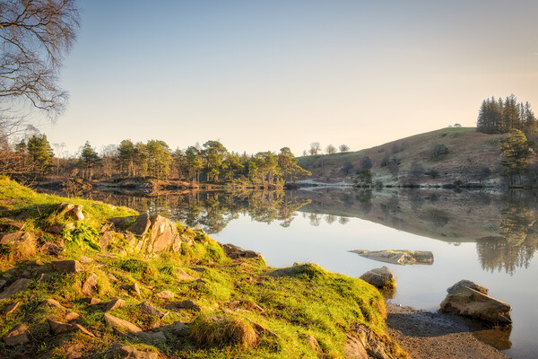 Tarn Hows Landscape: Lake District Picture Board by Tim Hill