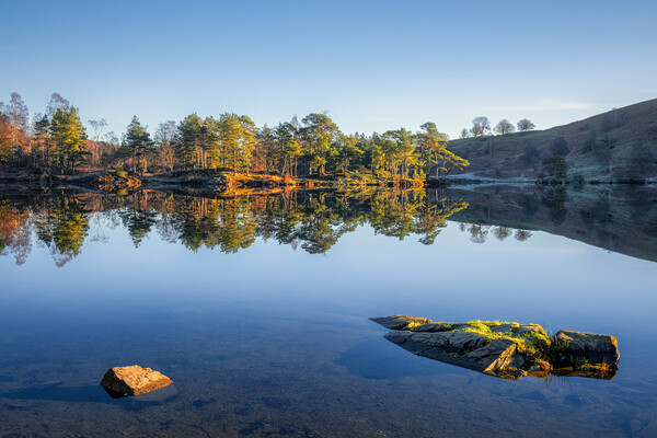 Tarn Hows Reflections: No wind, bliss! Picture Board by Tim Hill