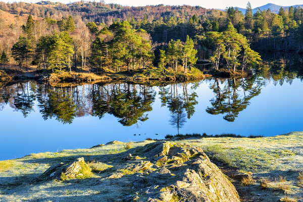 Stunning Tarn Hows: Lake District Landscape Picture Board by Tim Hill
